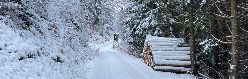Rauenstein Thüringer Wald Winterwanderung Schneewanderung