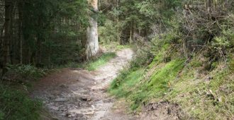 Geführte Wanderung „Rauenstein – Rennsteig – Neuhaus am Rennweg (Thüringer Wald)“ am 04.10.2026