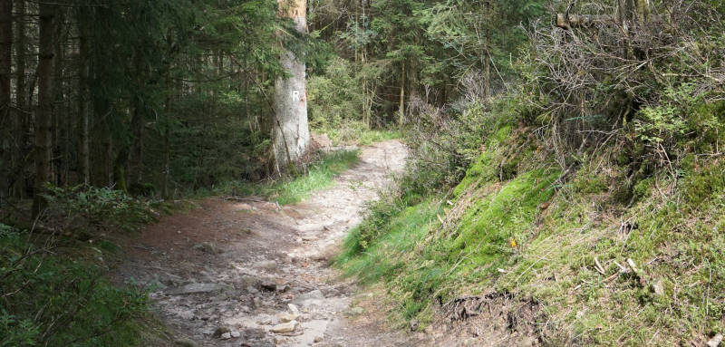 Rennsteig Thüringer Wald