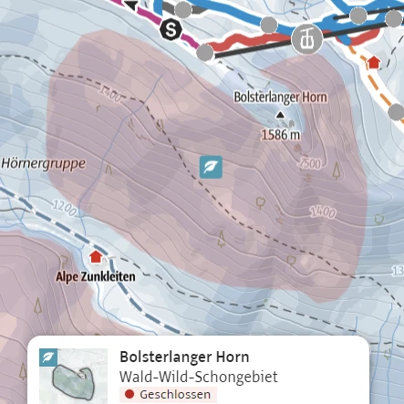 Schongebiet Bolsterlanger Horn Winterwandern