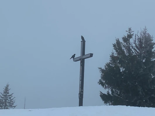 Großer Ochsenkopf Gipfelkreuz Allgäu Winterwanderung