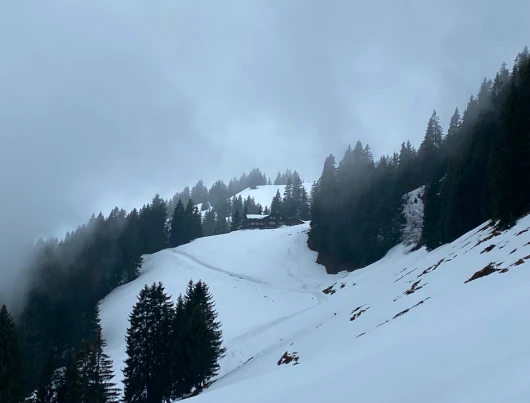 Großer Ochsenkopf Allgäu Winterwanderweg Panorama-Höhenweg