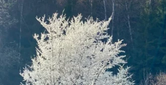 Geführte Wanderung „Impulse für Veränderung“ (Rödental, Franken) am 28.09.