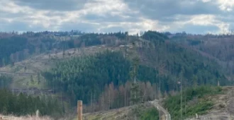 Wanderung auf dem FrankenwaldSteigla „Süßengut-Weg“ bei Wallenfels