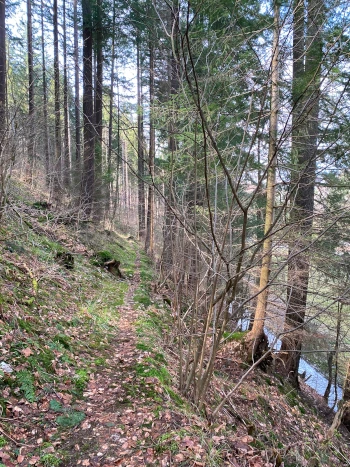 FrankenwaldSteigla Süßengut-Weg, Pfad von Fels weg