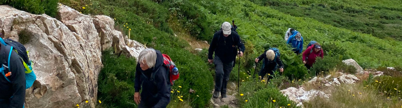 Umfrage Interessen Wanderung
