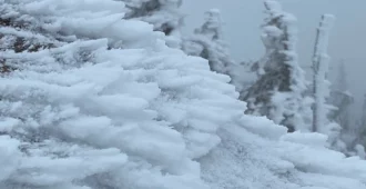 Schneeschuhwanderung auf den Großen Arber